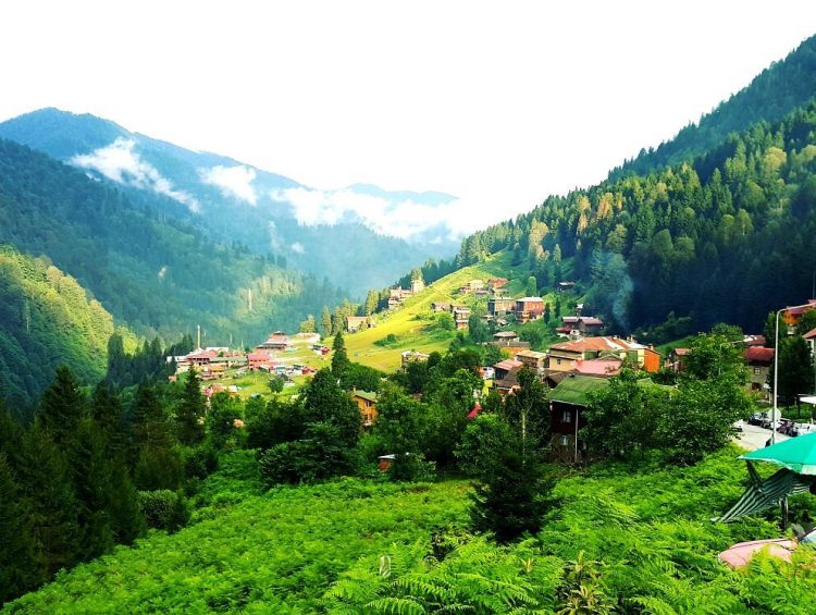 Ayder Yalası, Çamlıhemşin