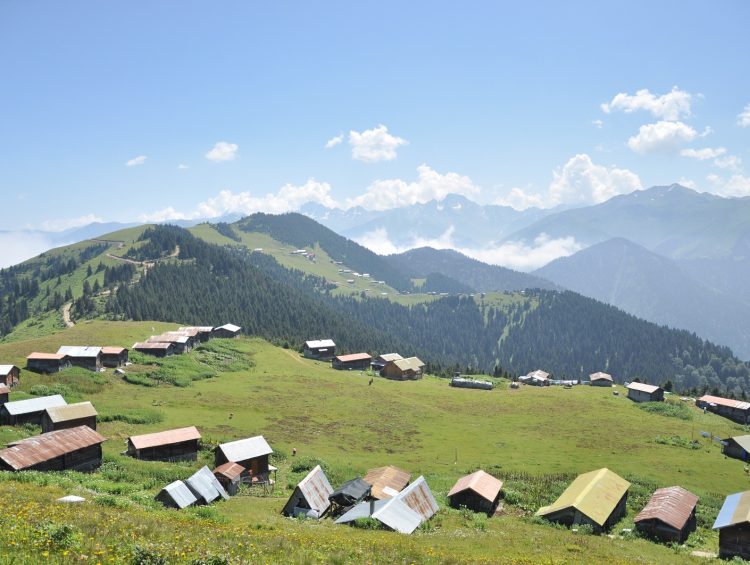 Sal Yaylası, Çamlıhenşin