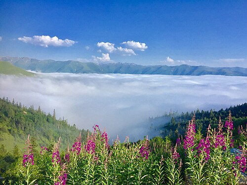 Çağrankaya Yaylaları, İkizdere