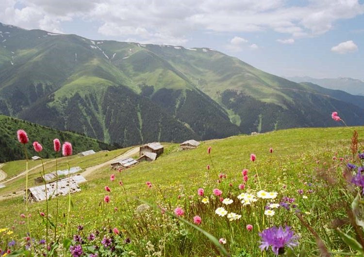 Vaşa Yaylası, İkizdere