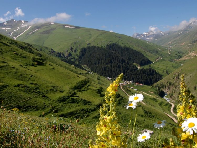 Anzer Yaylası, İkizdere
