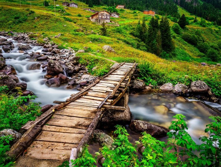 Elevit Yaylası, Çamlıhemşin