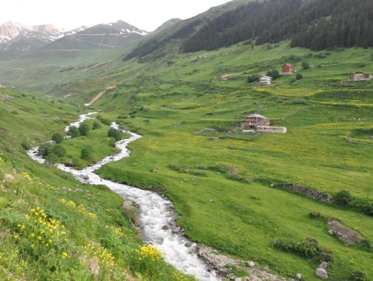 Sivrikaya Yaylası, İkizdere