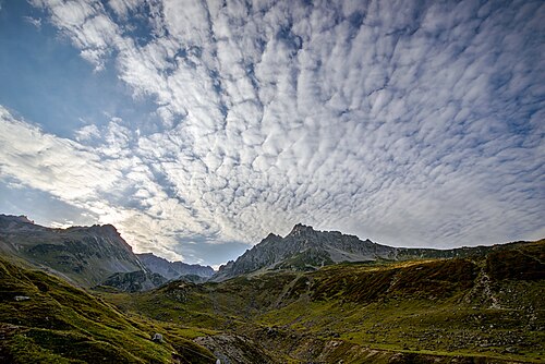 Palakçur Yaylası, Çamlıhemşin