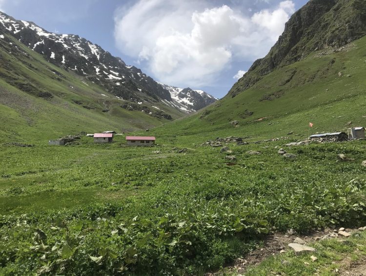 Çermeç Yaylası, Çamlıhemşin