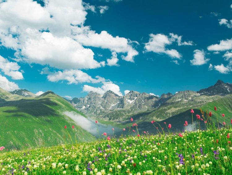 Çiçekli Yaylası, Çamlıhemşin