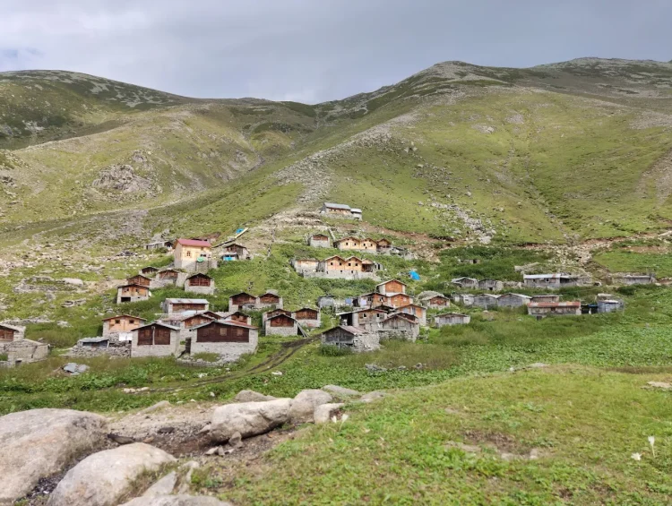 Golazena Yaylası, Ardeşen