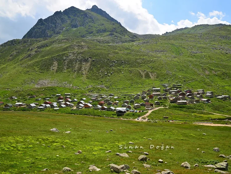 Trovit Yaylası, Çamlıhemşin