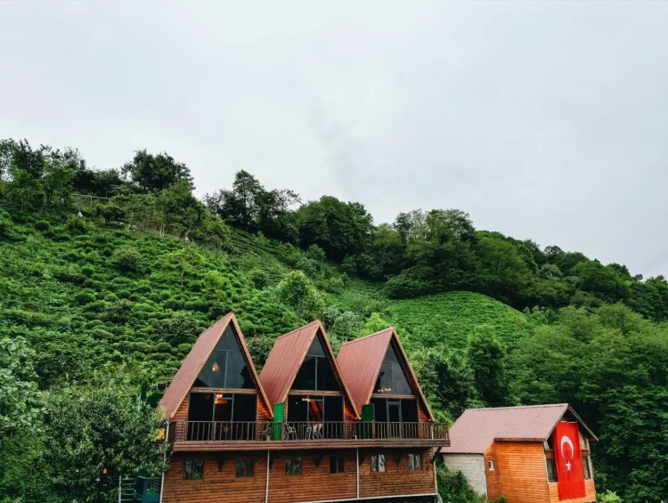 Mapavri Suit Bungalov, Çayeli